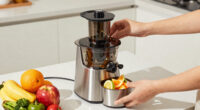 9 Best Self Feeding Juicer in 2026