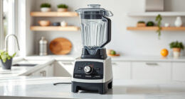 How to Clean a Vitamix E310 Explorian Easily and Safely