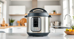 How to Fix a Instant Pot Pressure Cooker That Keeps Burn Error