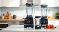 Is the Vitamix E310 Explorian Worth It? Honest Review