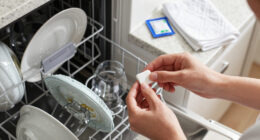 15 Best Dishwasher Cleaners for 2026