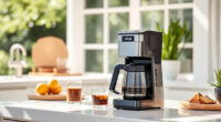 Summer Care Tips for Your Ninja Hot & Iced XL Coffee Maker