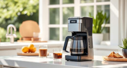Summer Care Tips for Your Ninja Hot & Iced XL Coffee Maker