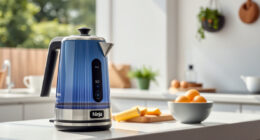 Summer Care & Troubleshooting for the Ninja KT200BL Electric Kettle